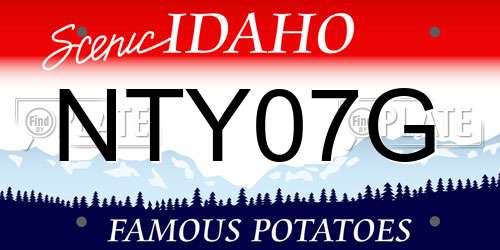 NTY07G Idaho License Plate