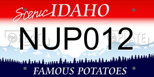 NUP012 Idaho License Plate