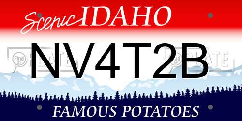 NV4T2B Idaho License Plate