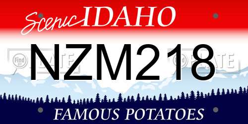 NZM218 Idaho License Plate