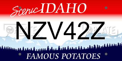 NZV42Z Idaho License Plate