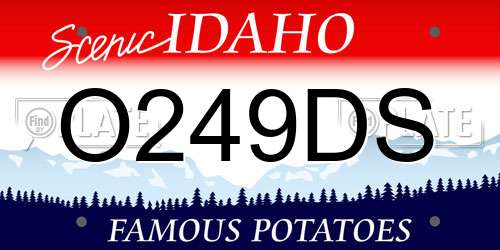 O249DS Idaho License Plate