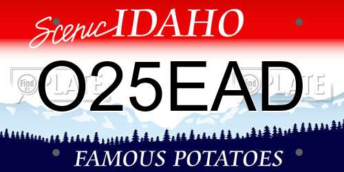 O25EAD Idaho License Plate