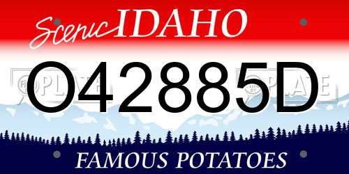 O42885D Idaho License Plate