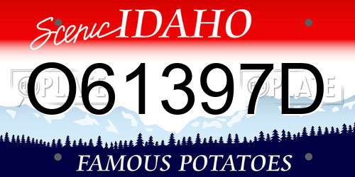 O61397D Idaho License Plate