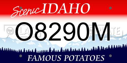 O8290M Idaho License Plate