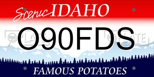 O90FDS Idaho License Plate