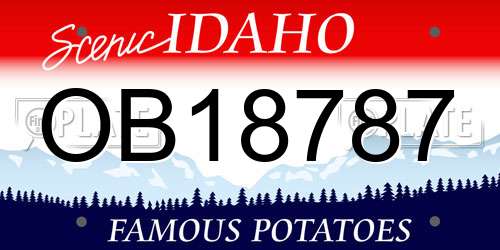 OB18787 Idaho License Plate