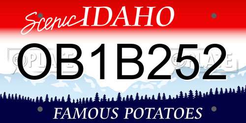 OB1B252 Idaho License Plate