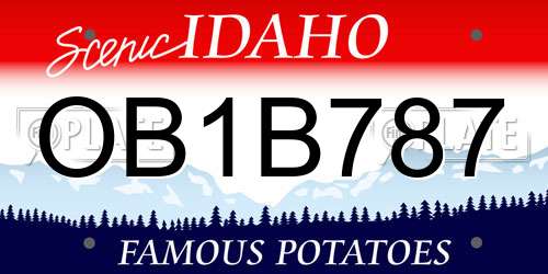 OB1B787 Idaho License Plate
