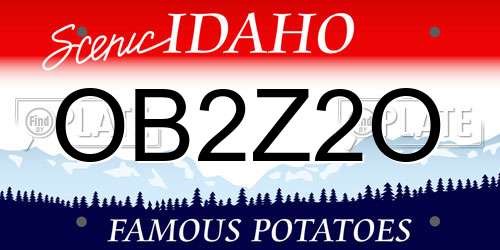 OB2Z2O Idaho License Plate