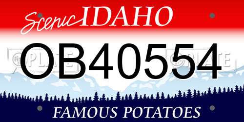 OB40554 Idaho License Plate