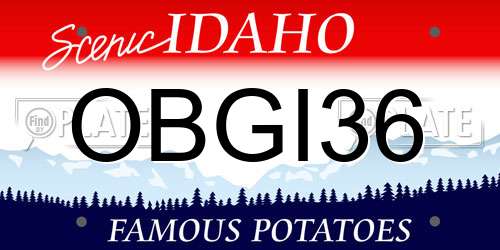 OBGI36 Idaho License Plate