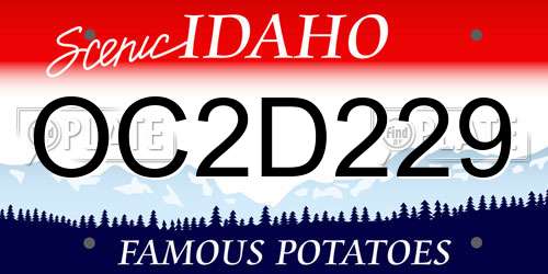 OC2D229 Idaho License Plate