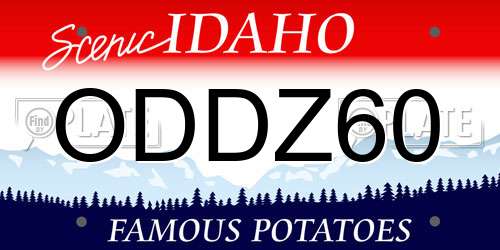 ODDZ60 Idaho License Plate