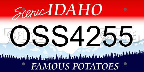 OSS4255 Idaho License Plate
