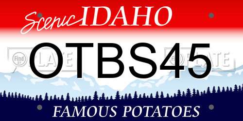 OTBS45 Idaho License Plate
