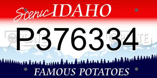 P376334 Idaho License Plate