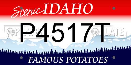 P4517T Idaho License Plate