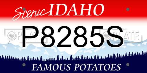 P8285S Idaho License Plate
