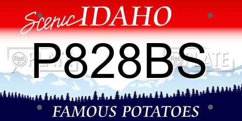 P828BS Idaho License Plate