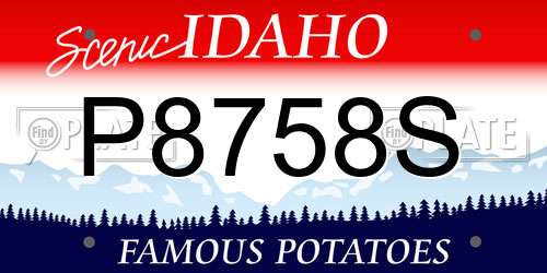 P8758S Idaho License Plate