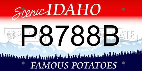 P8788B Idaho License Plate