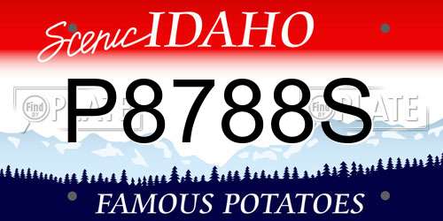 P8788S Idaho License Plate