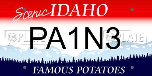 PA1N3 Idaho License Plate