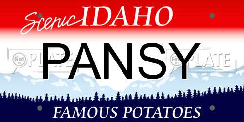 PANSY Idaho License Plate