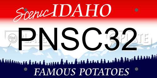 PNSC32 Idaho License Plate