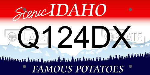 Q124DX Idaho License Plate