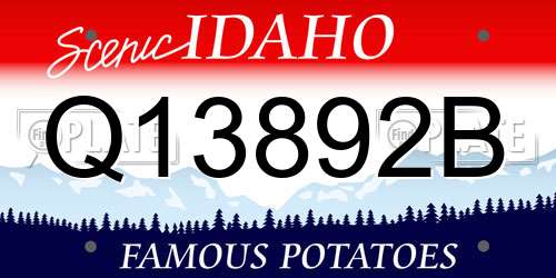 Q13892B Idaho License Plate