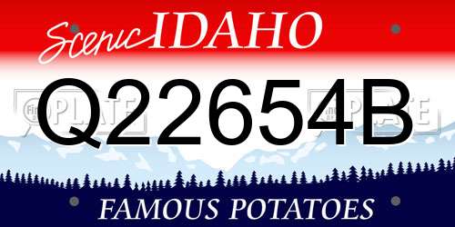 Q22654B Idaho License Plate