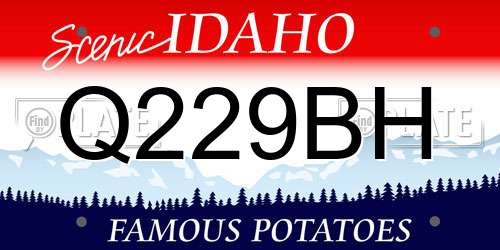 Q229BH Idaho License Plate