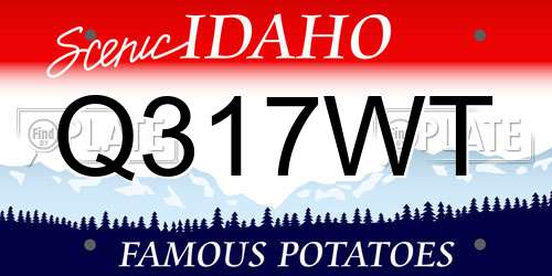 Q317WT Idaho License Plate