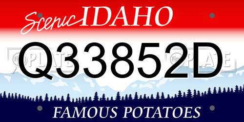 Q33852D Idaho License Plate