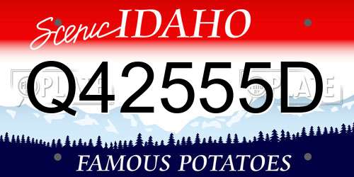 Q42555D Idaho License Plate