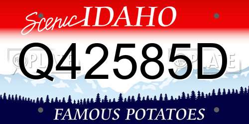 Q42585D Idaho License Plate