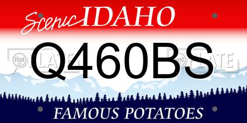 Q460BS Idaho License Plate