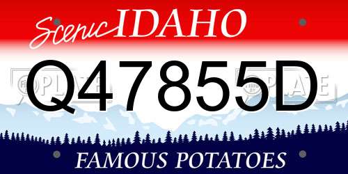 Q47855D Idaho License Plate