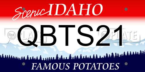QBTS21 Idaho License Plate