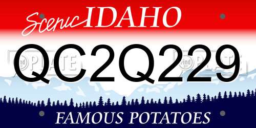 QC2Q229 Idaho License Plate