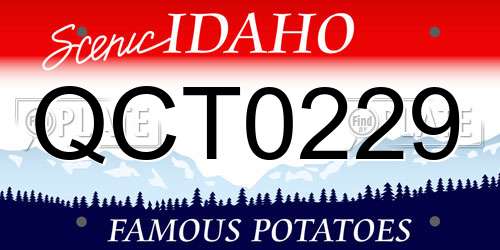 QCT0229 Idaho License Plate