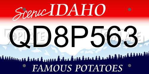 QD8P563 Idaho License Plate
