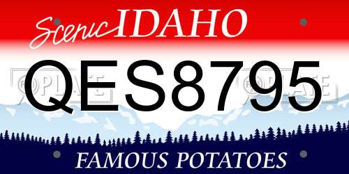 QES8795 Idaho License Plate