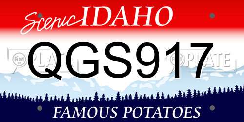 QGS917 Idaho License Plate