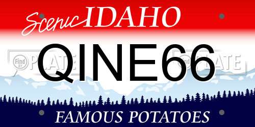 QINE66 Idaho License Plate
