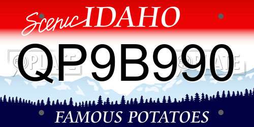 QP9B990 Idaho License Plate