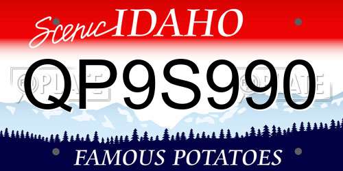 QP9S990 Idaho License Plate